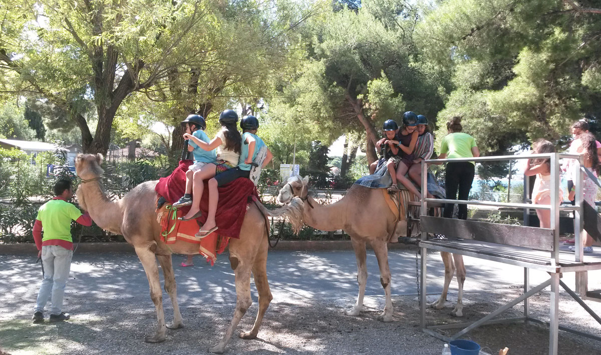 Marina Plage Provence-Alpes-Côte d'Azur - Vitrolles visuel 28/29 Marina Plage Provence-Alpes-Côte d'Azur - Vitrolles visuel 28/29