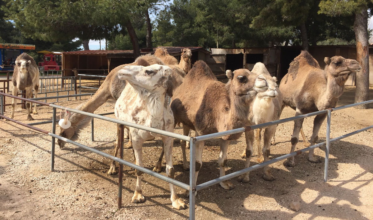 Marina Plage Provence-Alpes-Côte d'Azur - Vitrolles visuel 25/29 Marina Plage Provence-Alpes-Côte d'Azur - Vitrolles visuel 25/29