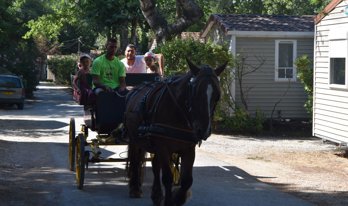 Marina Plage Provence-Alpes-Côte d'Azur - Vitrolles visuel 10/29 Marina Plage Provence-Alpes-Côte d'Azur - Vitrolles visuel 10/29