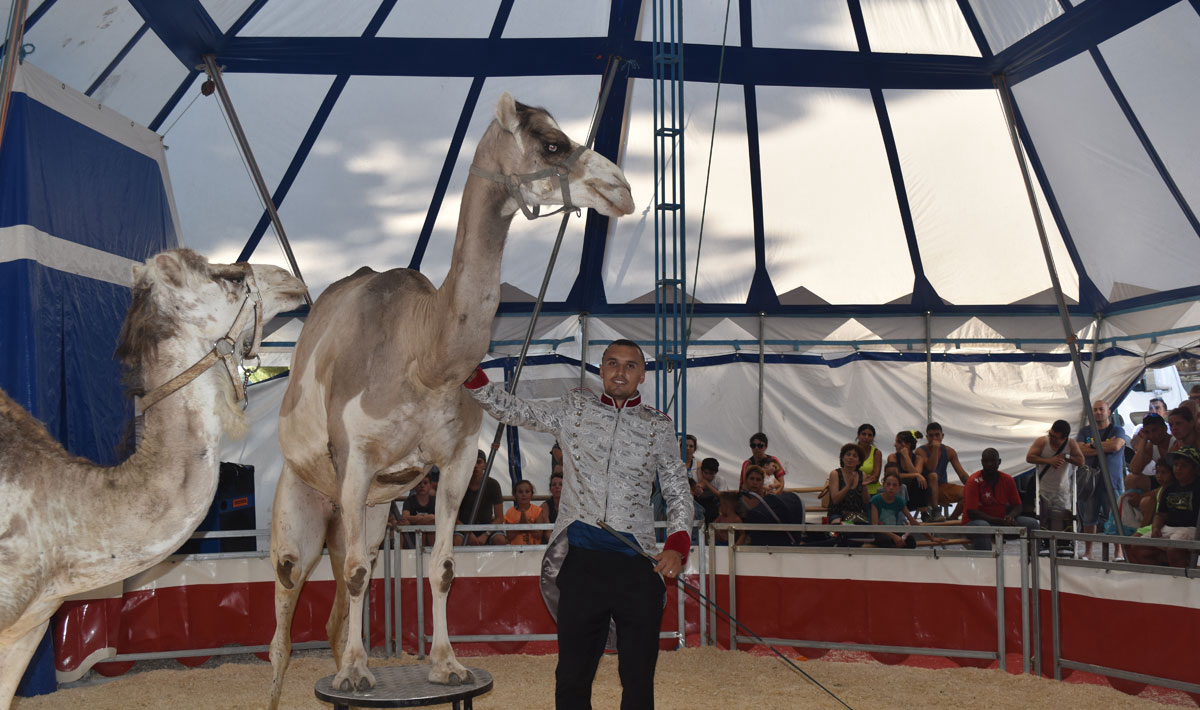 Marina Plage Provence-Alpes-Côte d'Azur - Vitrolles visuel 12/29 Marina Plage Provence-Alpes-Côte d'Azur - Vitrolles visuel 12/29