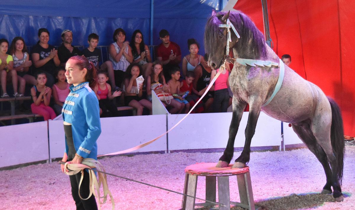 Marina Plage Provence-Alpes-Côte d'Azur - Vitrolles visuel 8/29 Marina Plage Provence-Alpes-Côte d'Azur - Vitrolles visuel 8/29