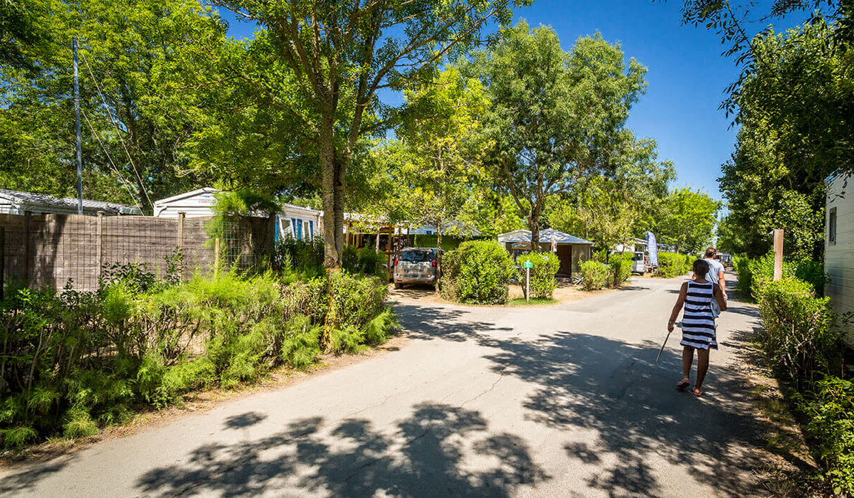 Oléron Loisirs Poitou-Charentes - Saint-Georges-d'Oléron visuel 20/39