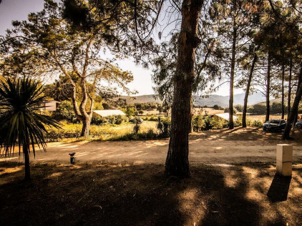 Olva Les Eucalyptus Corsica - Sartène visuel 5/5 Olva Les Eucalyptus Corsica - Sartène visuel 5/5