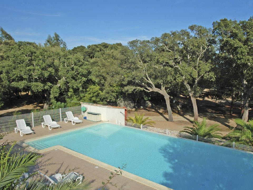 Pezza Cardo Corsica - Porto-Vecchio visuel 1/7 Pezza Cardo Corsica - Porto-Vecchio visuel 1/7