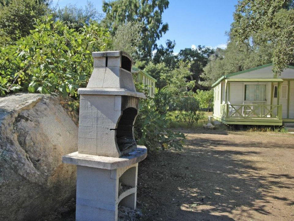 Pezza Cardo Corsica - Porto-Vecchio visuel 5/7 Pezza Cardo Corsica - Porto-Vecchio visuel 5/7