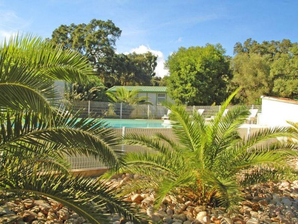 Pezza Cardo Corsica - Porto-Vecchio visuel 7/7 Pezza Cardo Corsica - Porto-Vecchio visuel 7/7