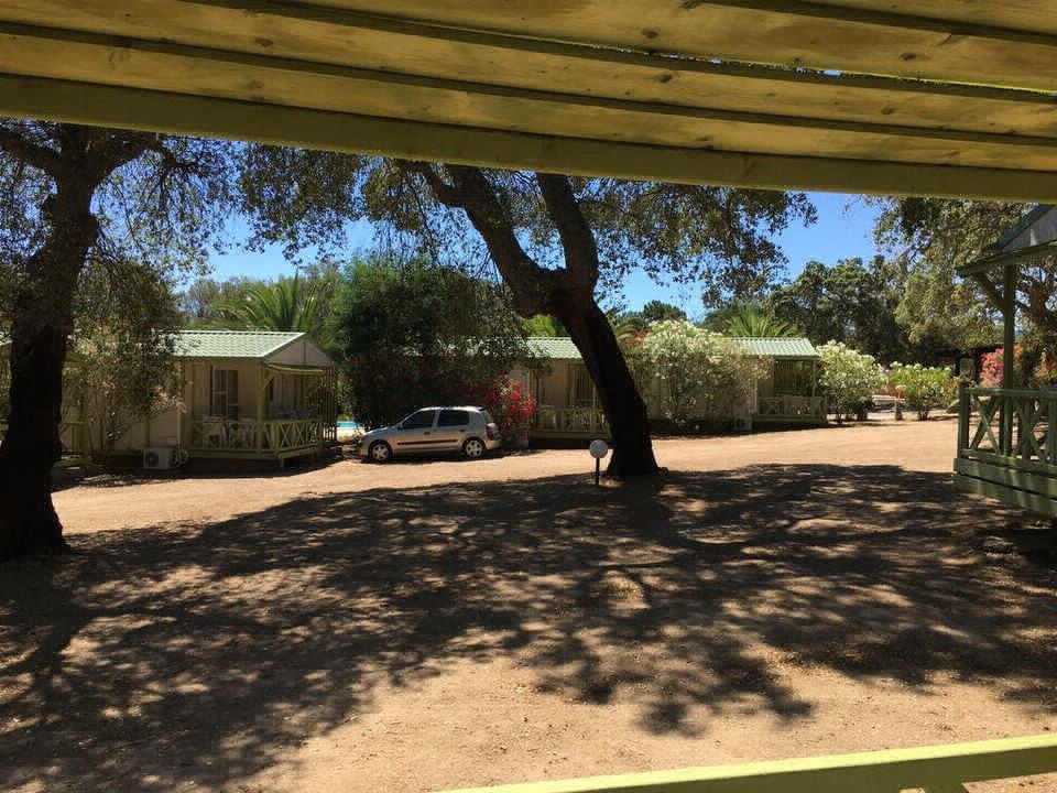 Pezza Cardo Corsica - Porto-Vecchio visuel 3/7 Pezza Cardo Corsica - Porto-Vecchio visuel 3/7