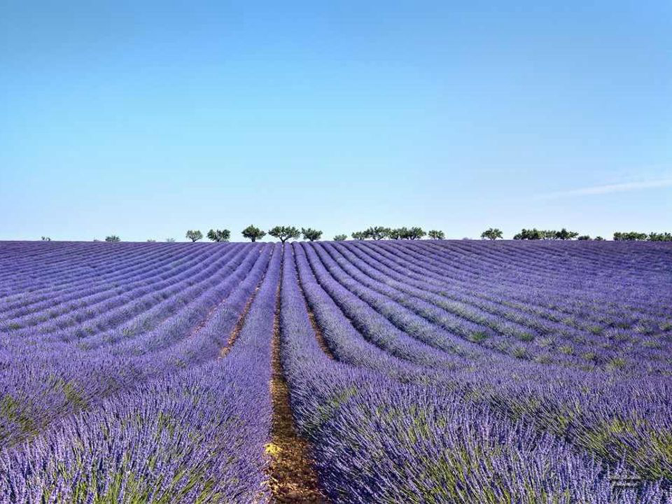Les Ubacs Provence-Alpes-Côte d'Azur - Manosque visuel 9/15 Les Ubacs Provence-Alpes-Côte d'Azur - Manosque visuel 9/15