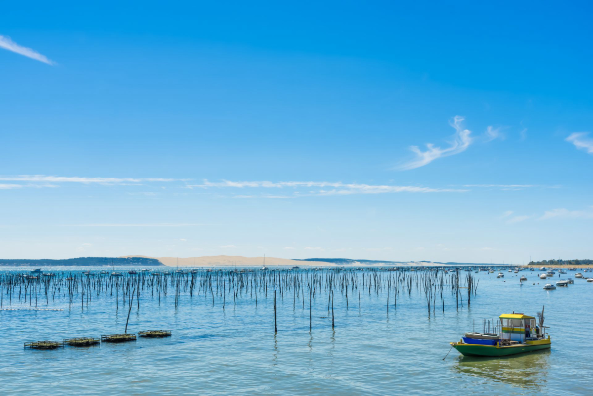 Camping MS Le Pyla 4* Aquitaine - Pyla aan zee visuel 20/20 Camping MS Le Pyla 4* Aquitaine - Pyla aan zee visuel 20/20