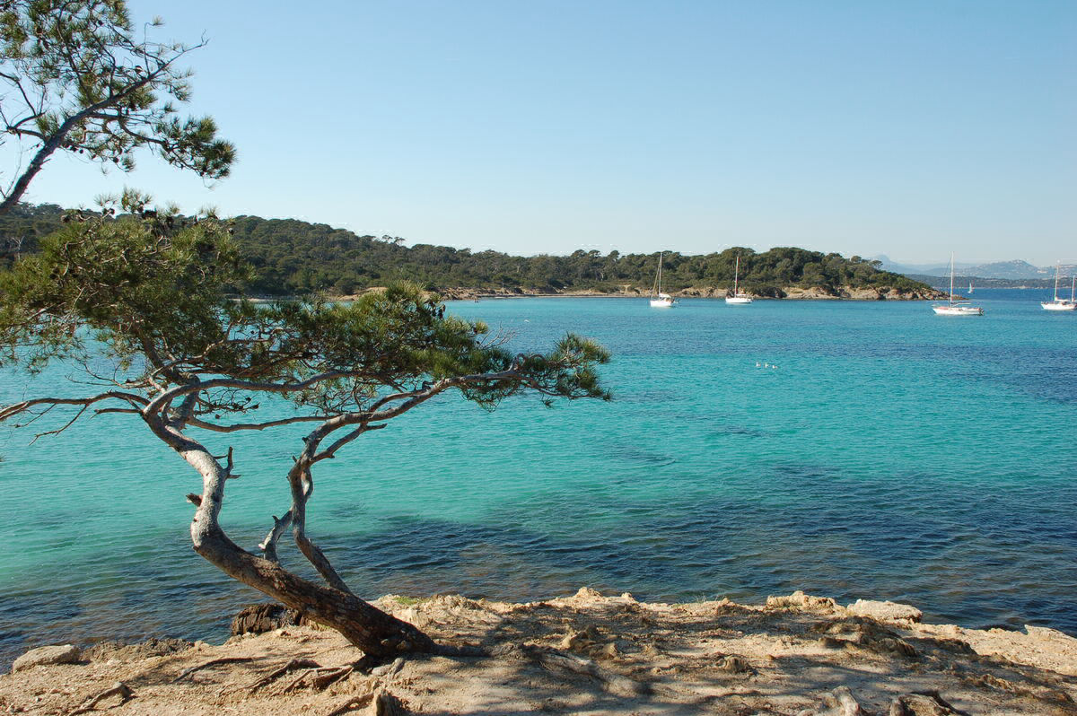 Salines Provence-Alpes-Côte d'Azur - Giens visuel 7/16 Salines Provence-Alpes-Côte d'Azur - Giens visuel 7/16