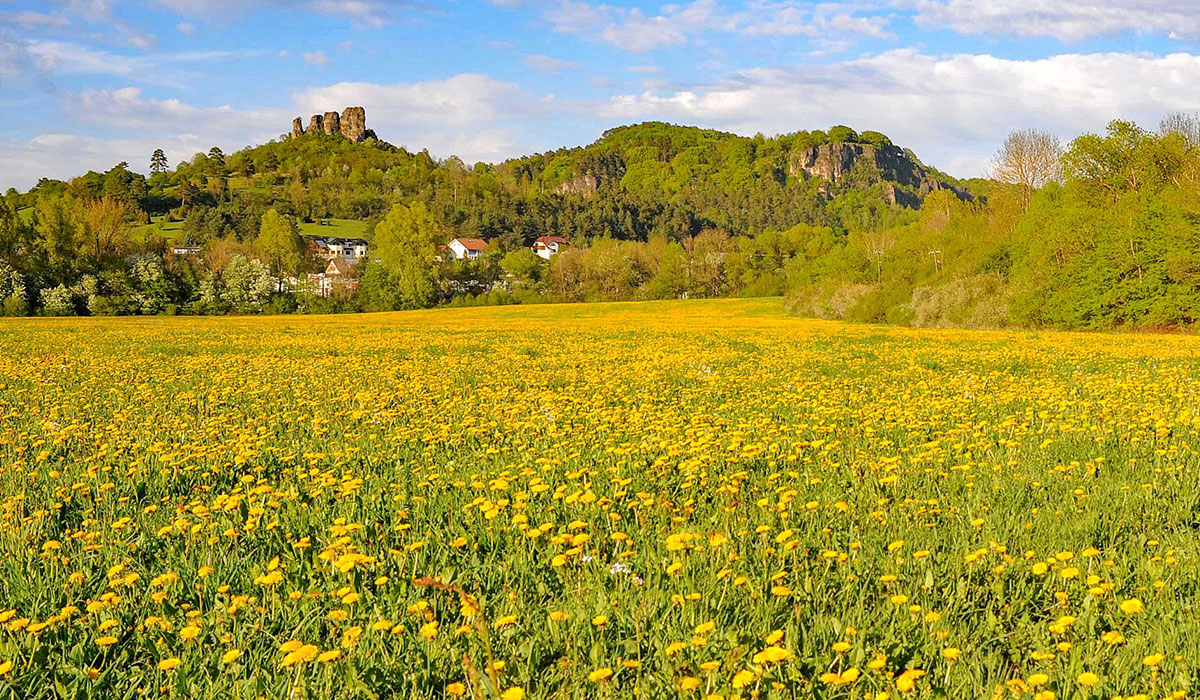 Waldferienpark Gerolstein Rijnland-Palts - Gerolstein visuel 1/2 Waldferienpark Gerolstein Rijnland-Palts - Gerolstein visuel 1/2