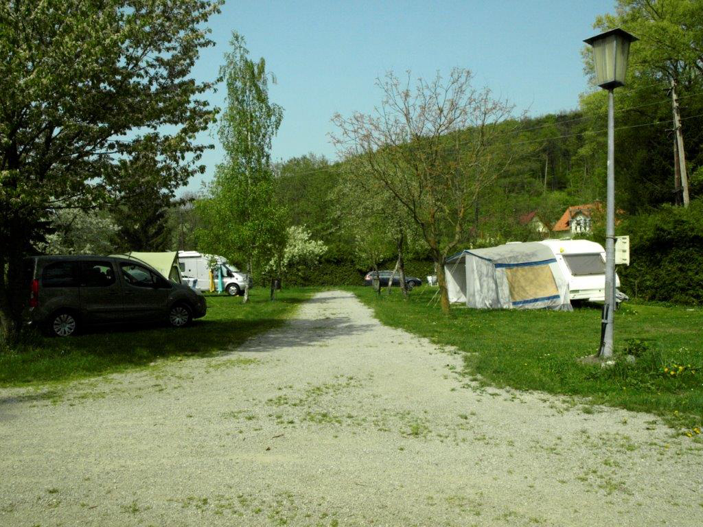 Wienerwald Neder-Oostenrijk - Wenen Bos visuel 1/1 Wienerwald Neder-Oostenrijk - Wenen Bos visuel 1/1