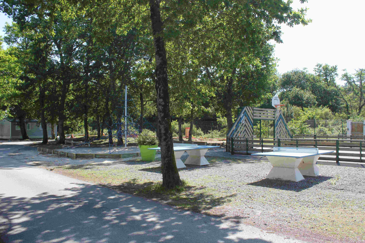 La Pointe Aquitaine - Capbreton visuel 8/10 La Pointe Aquitaine - Capbreton visuel 8/10