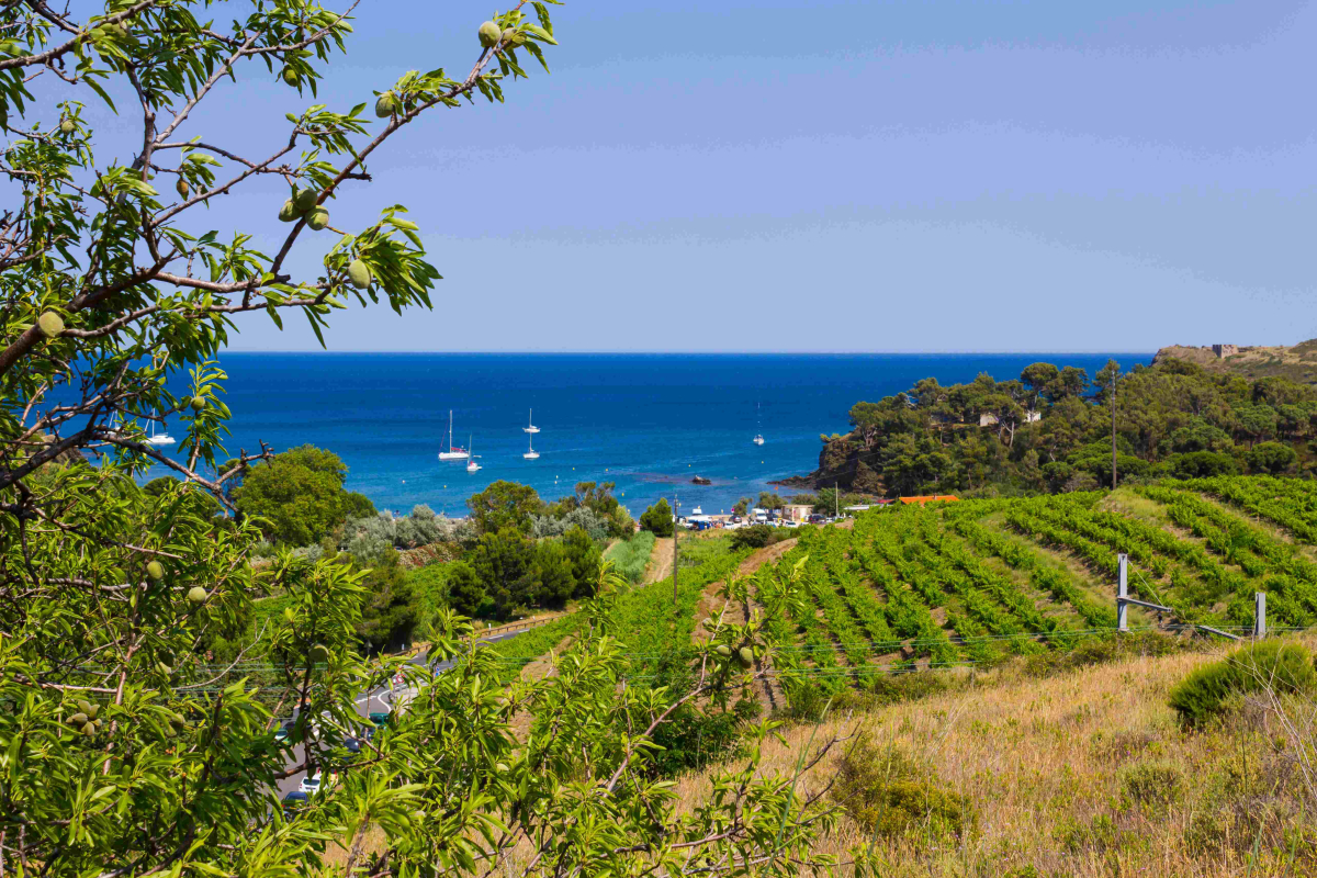 Le Marisol Languedoc-Roussillon - Torreilles visuel 10/10 Le Marisol Languedoc-Roussillon - Torreilles visuel 10/10