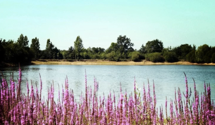 Camping Au Pré de l'Etang - Sainte-Foy