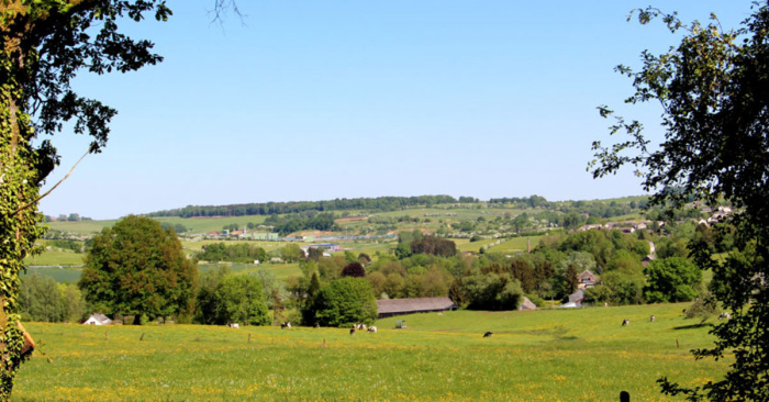 Signy-l'Abbaye - 2 - campings