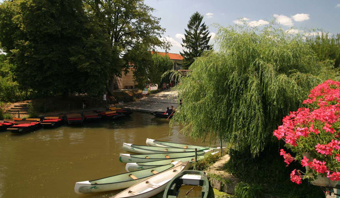 Camping L'Ilot des Marais - De Langon