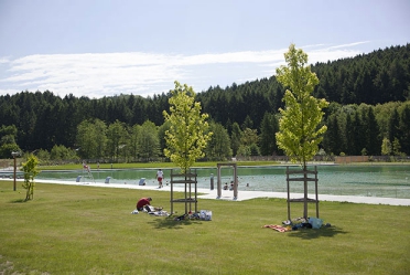 Camping - Cublize - Rhône-Alpes - Le Lac des Sapins - Image #9