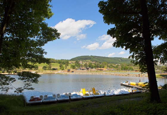 Camping - Cublize - Rhône-Alpes - Le Lac des Sapins - Image #2