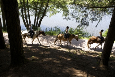 Camping - Cublize - Rhône-Alpes - Le Lac des Sapins - Image #13