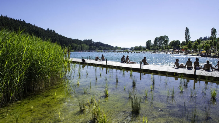Camping - Cublize - Rhône-Alpes - Le Lac des Sapins - Image #1