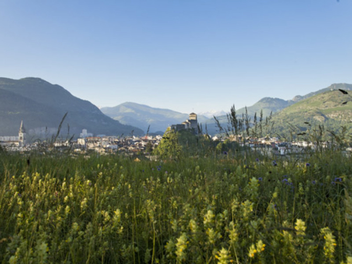 Le Vieux Berger - Midi-Pyreneën - Lourdes - 400€/sem