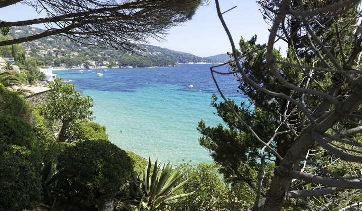Camping Le Lavandou - 8 - campings