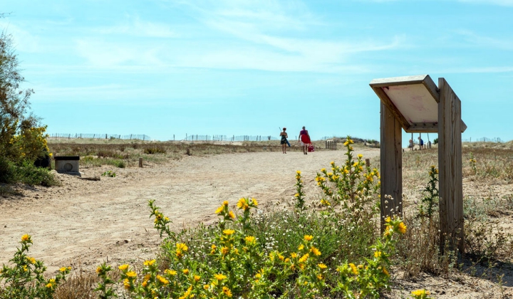 Camping - Vendres - Languedoc-Roussillon - Les Muriers - Image #7