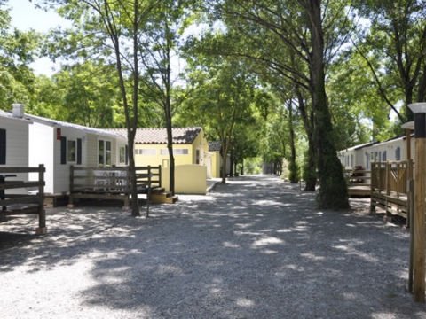 Camping - Lavilledieu - Rhône-Alpes - Les Rives D'auzon - Image #6