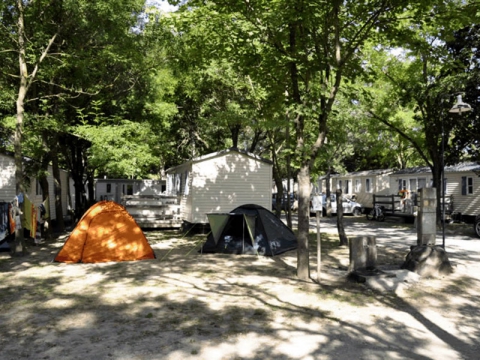 Camping - Lavilledieu - Rhône-Alpes - Les Rives D'auzon - Image #8