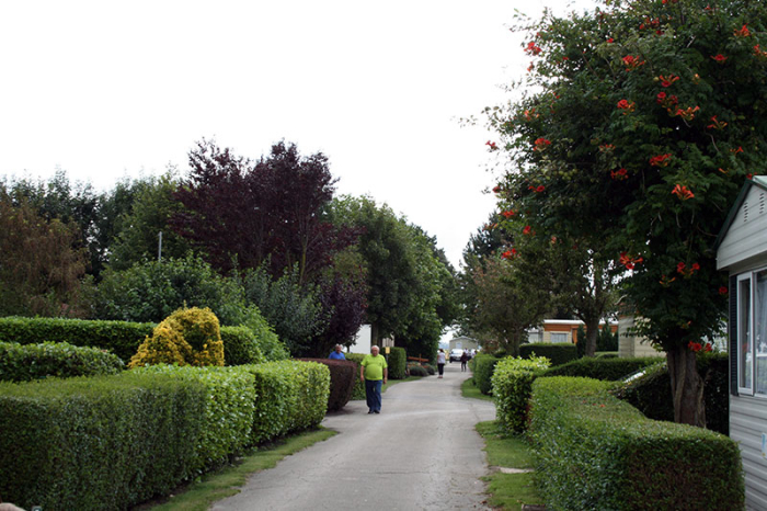 Camping Ma Campagne - Ghyvelde