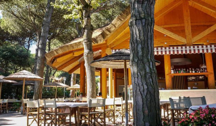 Camping - Lido degli Estensi - Emilia Romagna - Mare e Pineta - Image #4