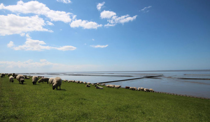 Camping Norddeich - Noord