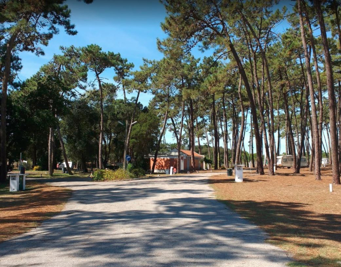 Camping São Jacinto - Aveiro