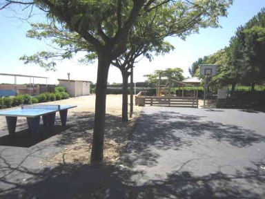 Camping - Pezenas - Languedoc-Roussillon - Camping de Montrose - Image #3