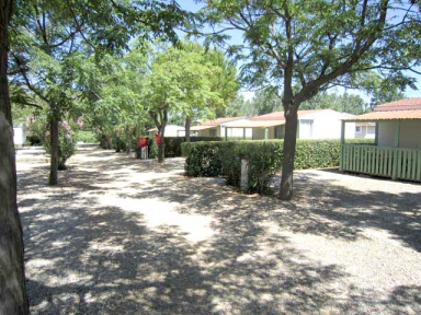 Camping - Pezenas - Languedoc-Roussillon - Camping de Montrose - Image #7