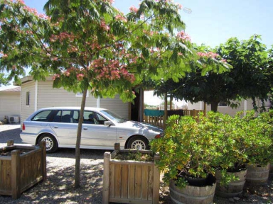 Camping - Pezenas - Languedoc-Roussillon - Camping de Montrose - Image #8