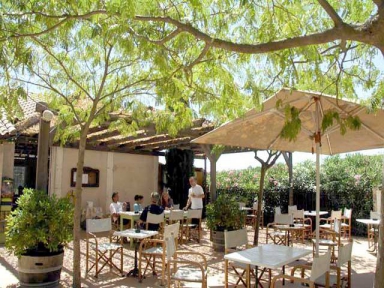 Camping - Pezenas - Languedoc-Roussillon - Camping de Montrose - Image #10