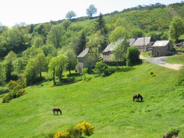 Domaine de la Taillade - Neuvéglise