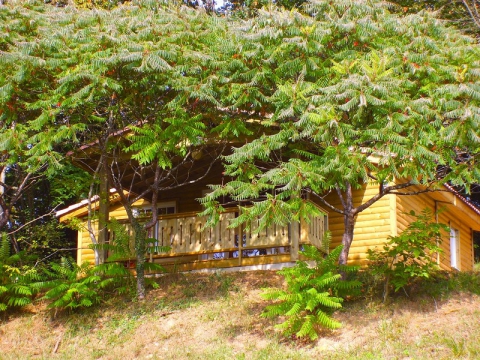 Camping le Domaine de Leispars - Saint-Étienne-de-Baïgorry