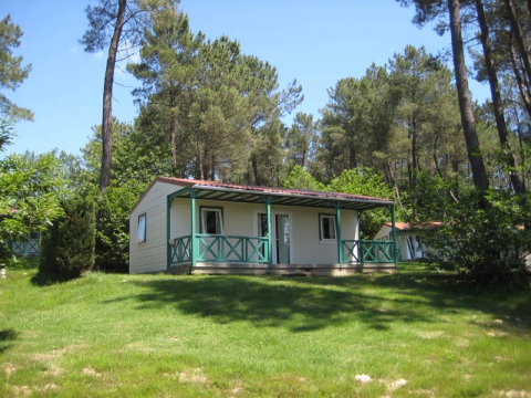Camping - Tamniès - Aquitaine - Domaine des Grands Pins - Image #1