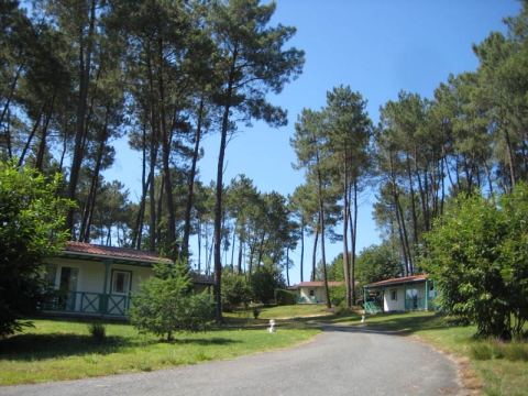 Camping - Tamniès - Aquitaine - Domaine des Grands Pins - Image #2