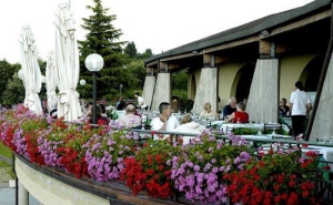Camping - Troggen - Toscane - Il Poggetto - Image #2