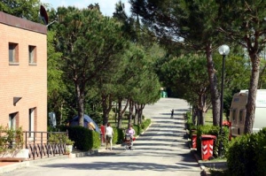 Camping - Troggen - Toscane - Il Poggetto - Image #5