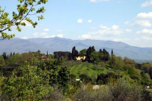 Camping - Troggen - Toscane - Il Poggetto - Image #7
