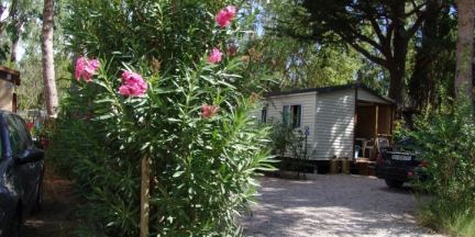 Camping - De Barcarès - Languedoc-Roussillon - La Croix du Sud - Image #8