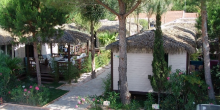 Camping - De Barcarès - Languedoc-Roussillon - La Croix du Sud - Image #9