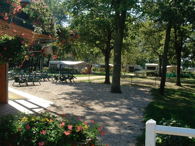 Camping BASE DE LOISIRS LA NIZIERE - Saint-Nizier-le-Désert
