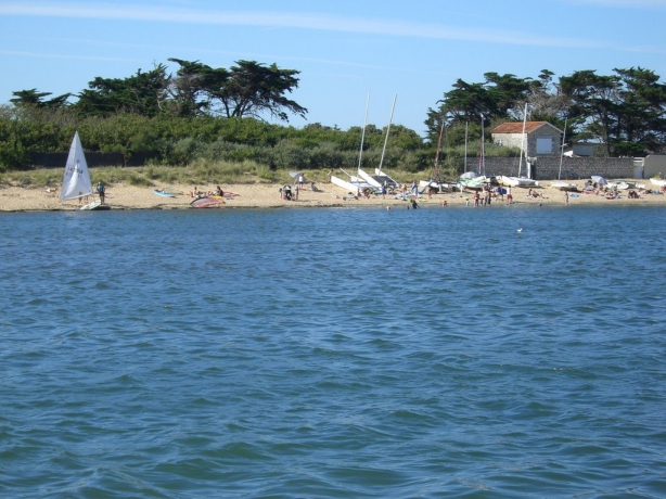 Camping Saint-Pierre-d'Oléron - 14 - campings