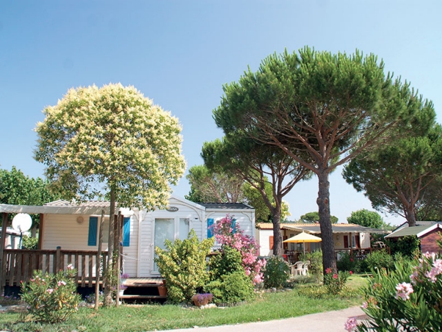 Camping LA PINEDE - Grimaud